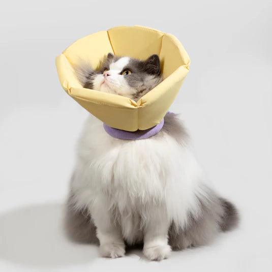 Soft Tapered Elizabethan Collar - PEKOO