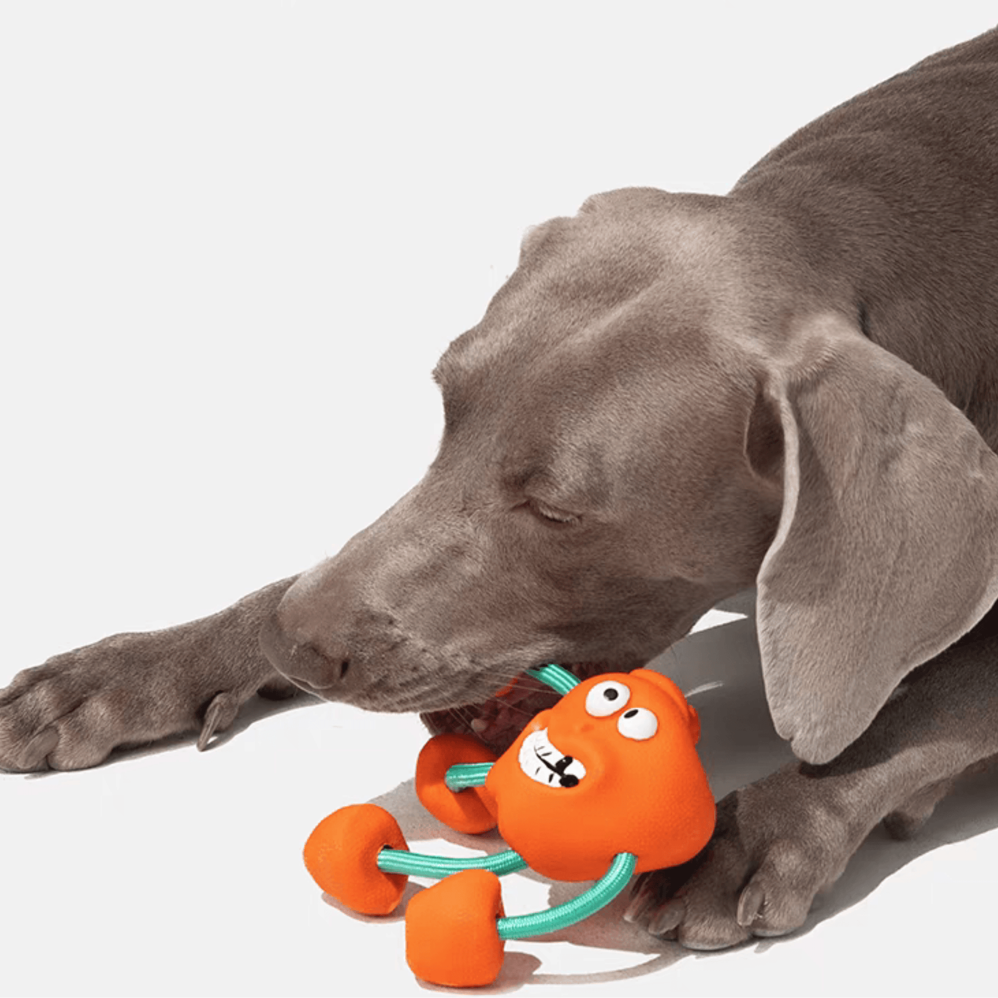 Cheerful Chewer Durable Dog Toy - PEKOO