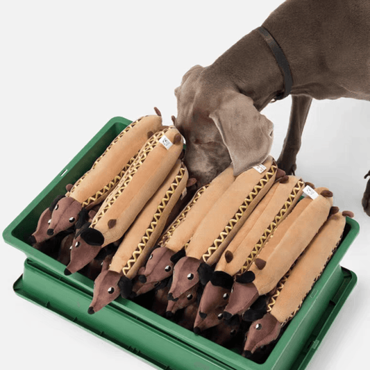 Durable Squeaky Hotdog Dog Toy