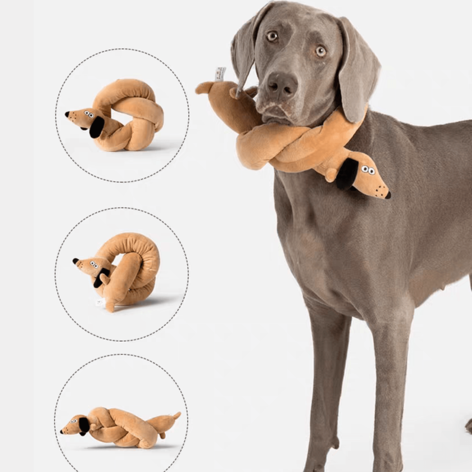 Versatile Plush Dog Toy with Built-in Squeaker - PEKOO