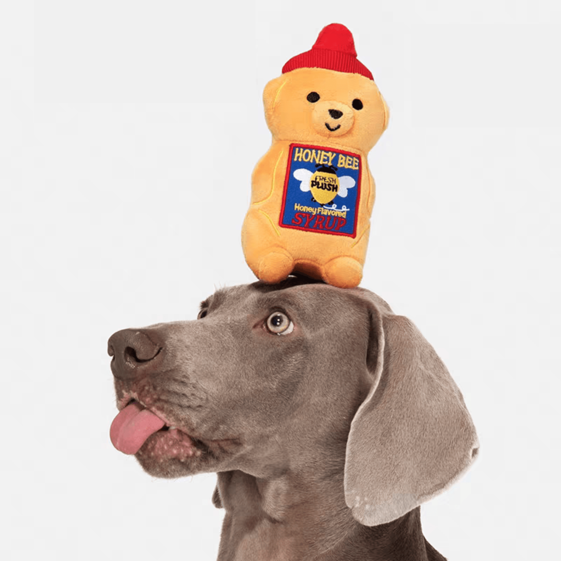 Honey Bear Plush Dog Toy - PEKOO