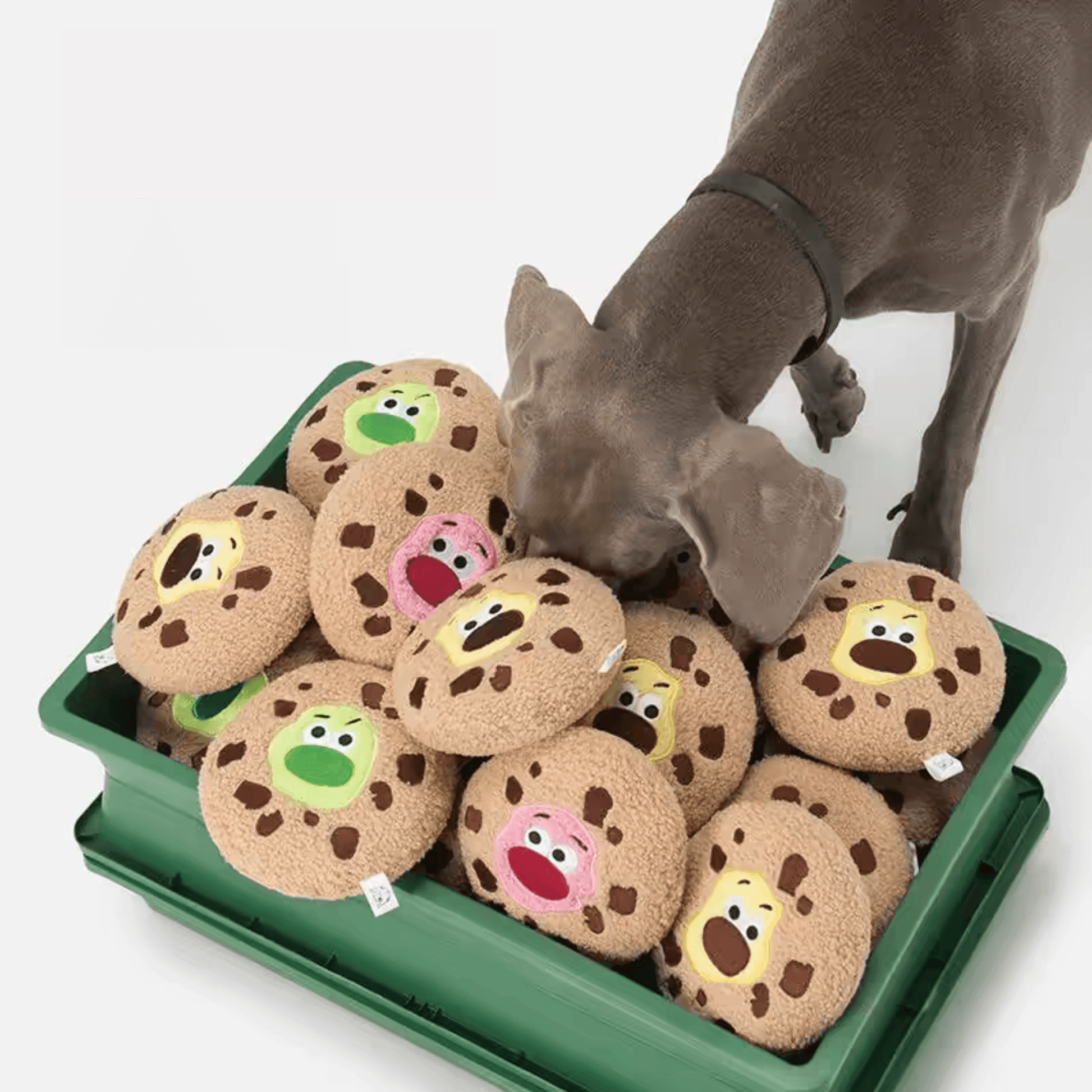 Soft Plush Cookie Dog Toy - PEKOO