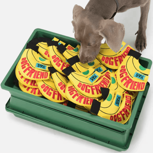 Interactive Banana Chew Frisbee - PEKOO