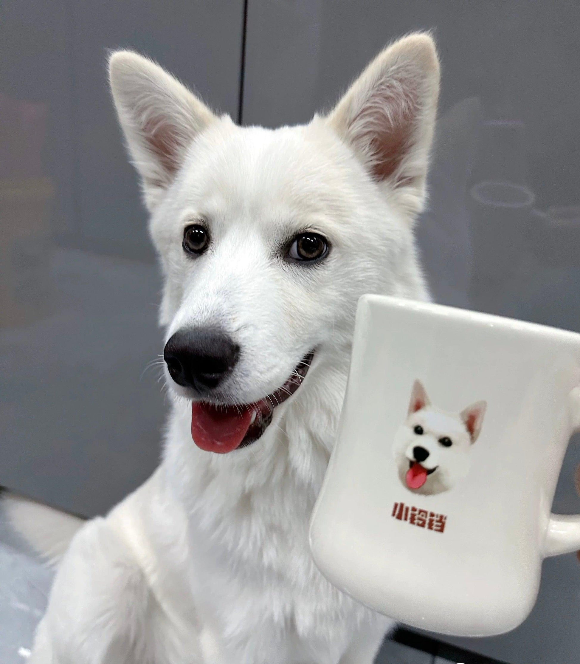 Custom Pet Portrait Mug - Classic - PEKOO