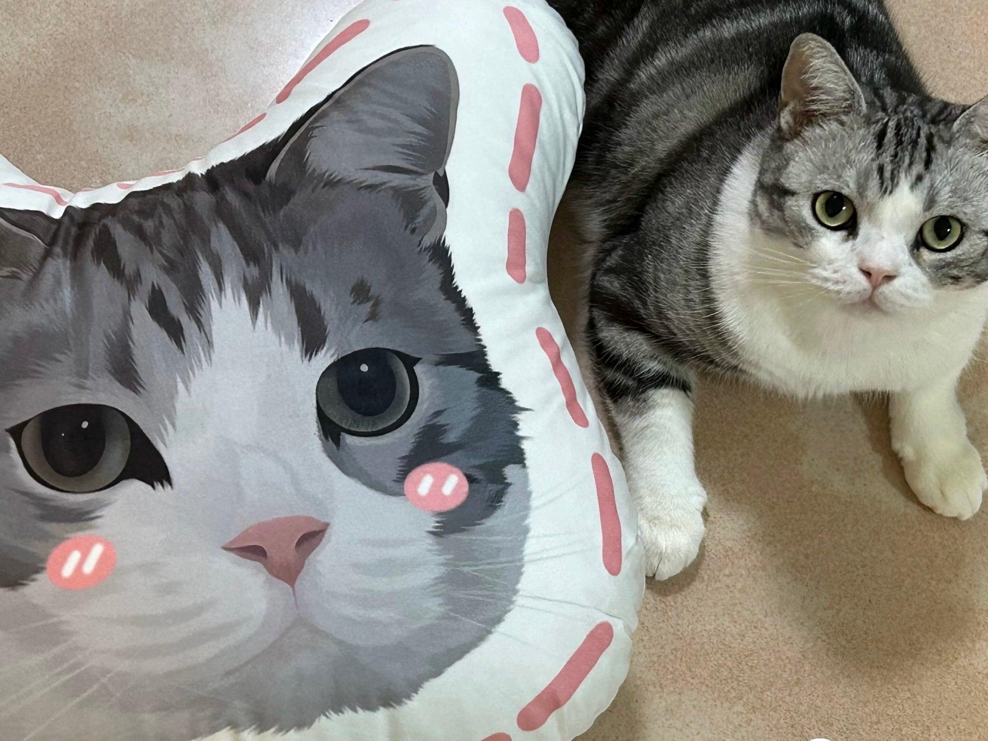 Custom Pet Portrait Cushion - MCD Edition - PEKOO