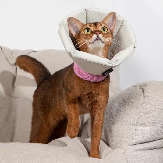 Soft Tapered Elizabethan Collar - PEKOO