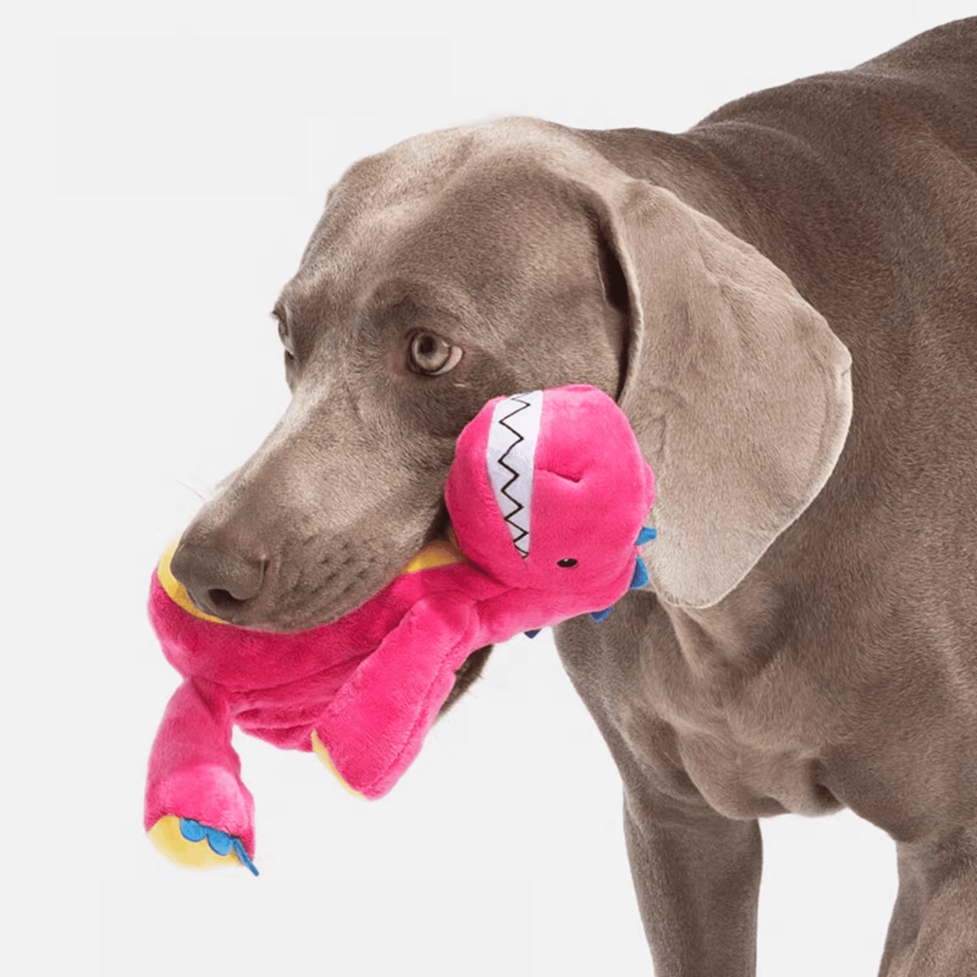 Pink Dinosaur Plush Dog Toy - PEKOO