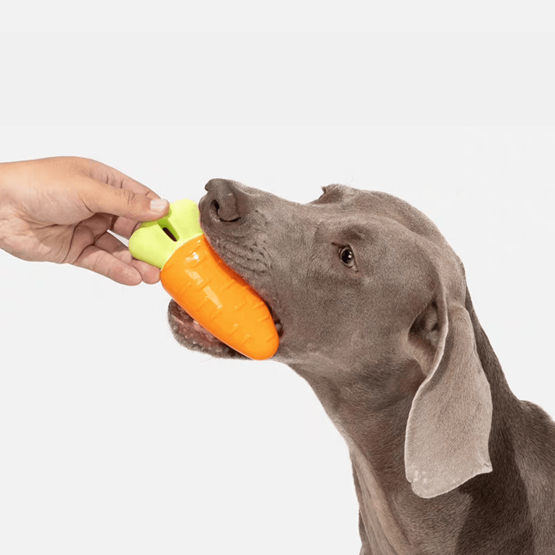 Durable Vegetable Chew Toys for Dogs - PEKOO