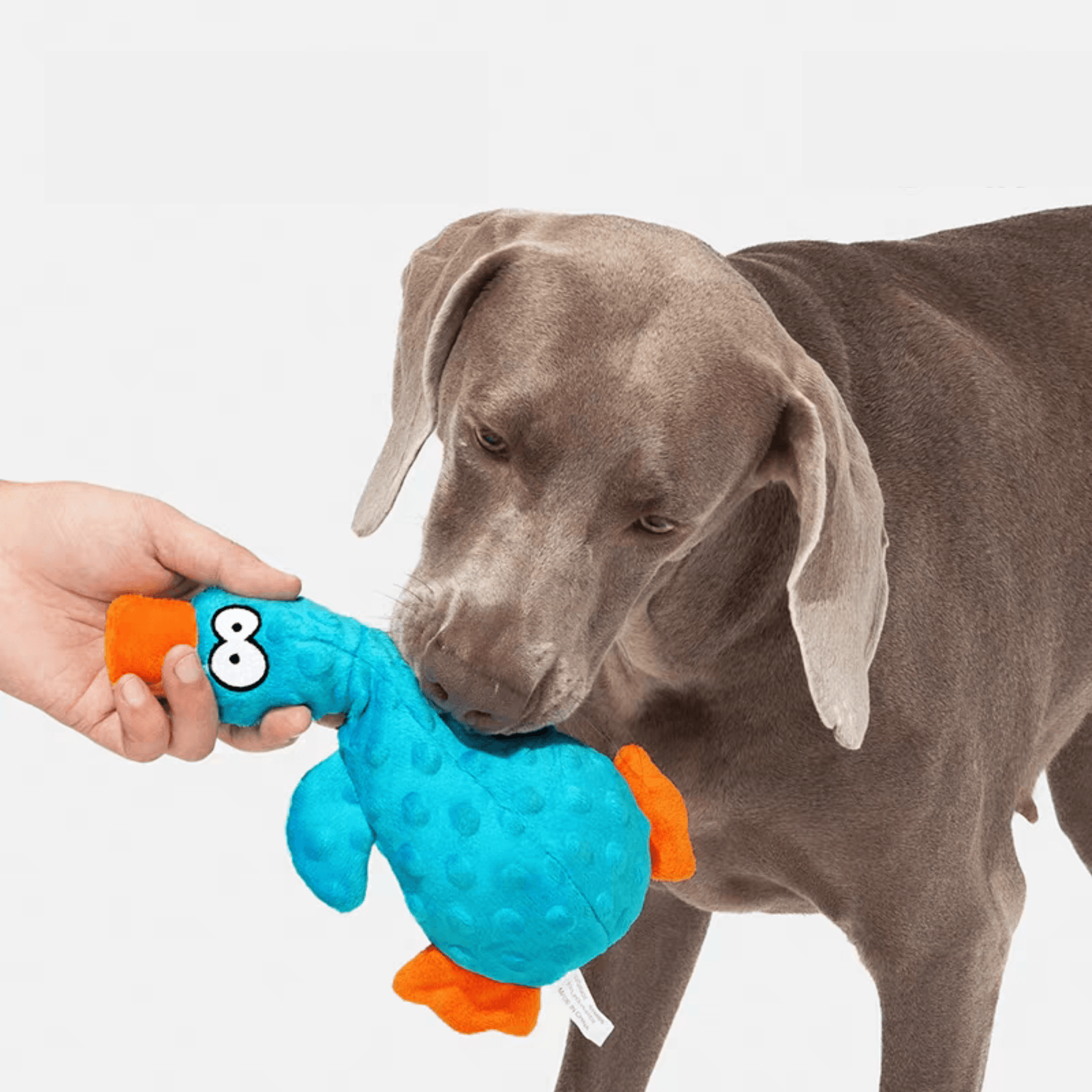 Interactive Squeaky Duck Dog Toy - PEKOO