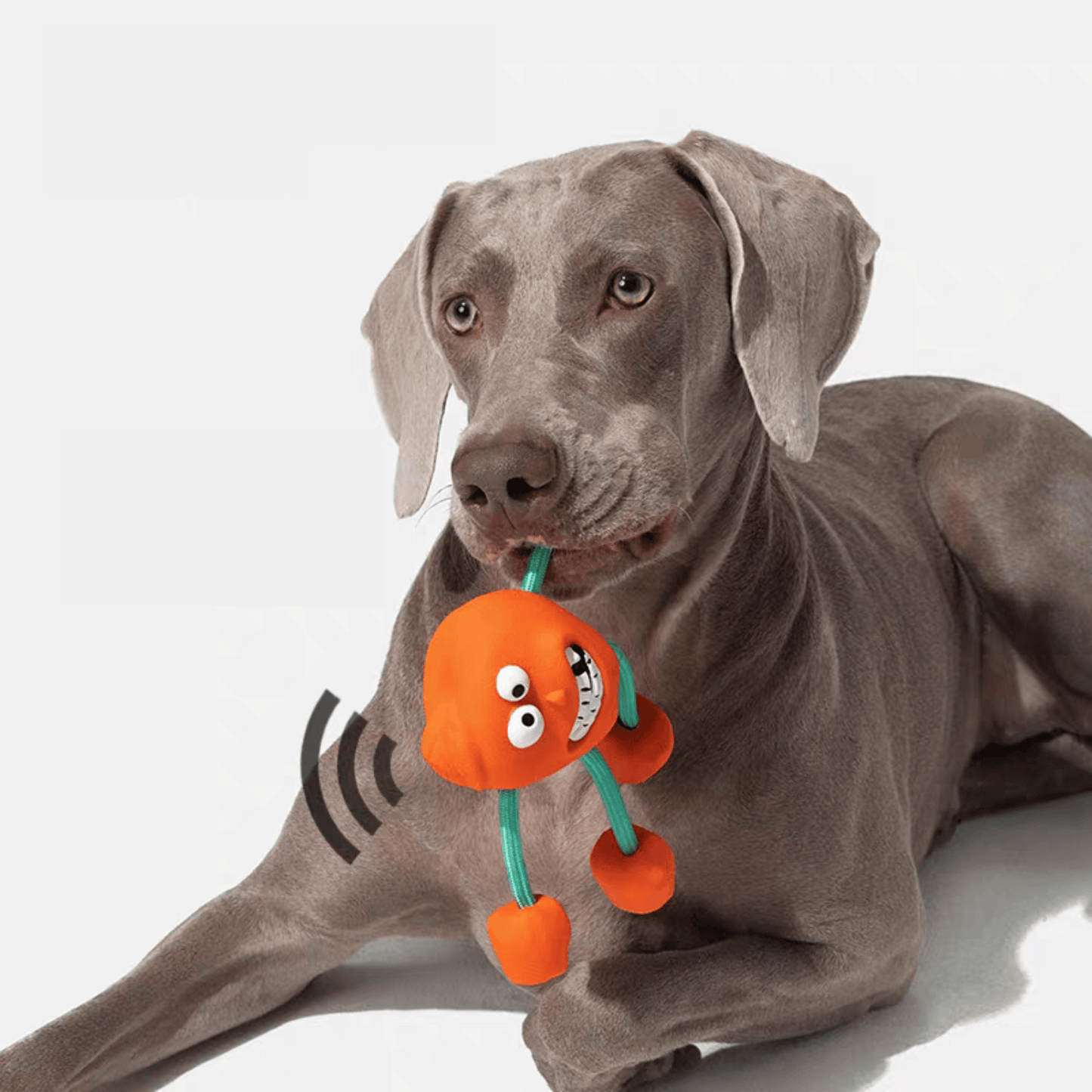 Cheerful Chewer Durable Dog Toy - PEKOO