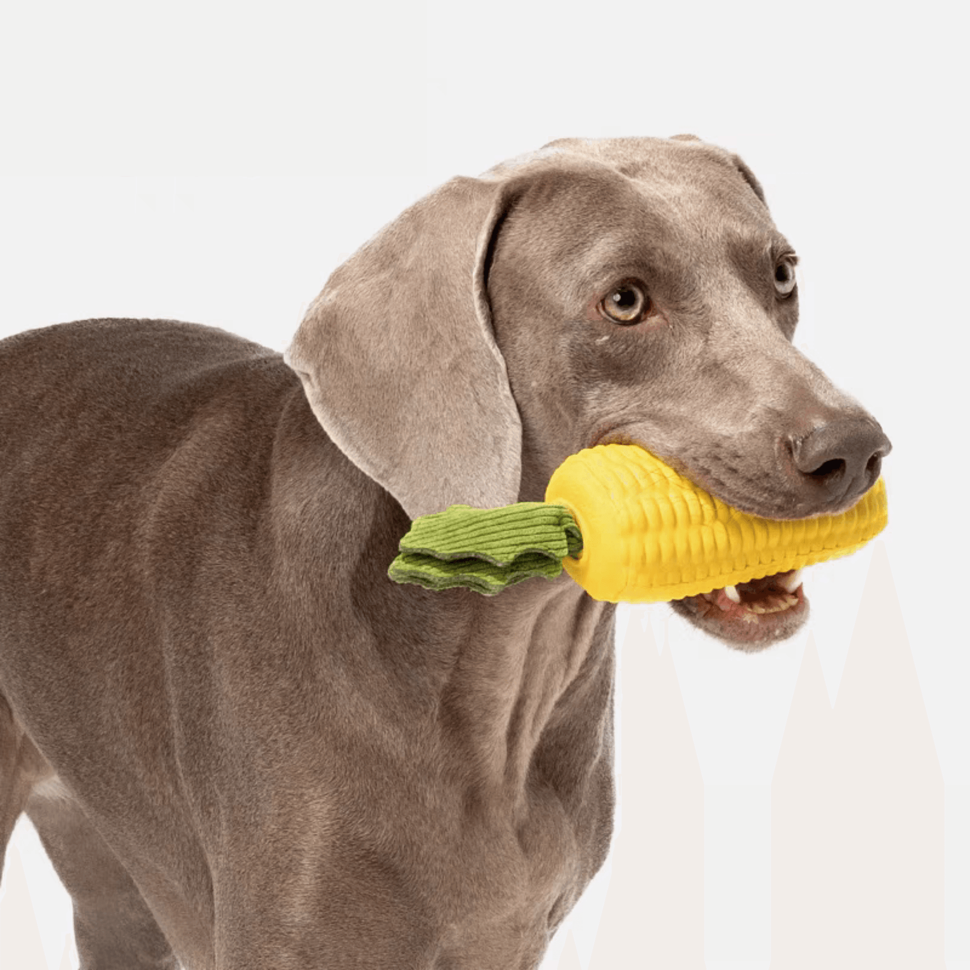 Corn-Shaped Dog Chew Toy - PEKOO