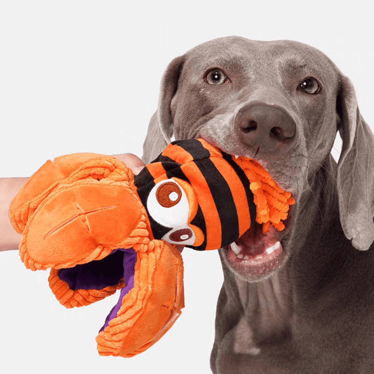 Interactive Rubber Chew Toy for Dogs - PEKOO