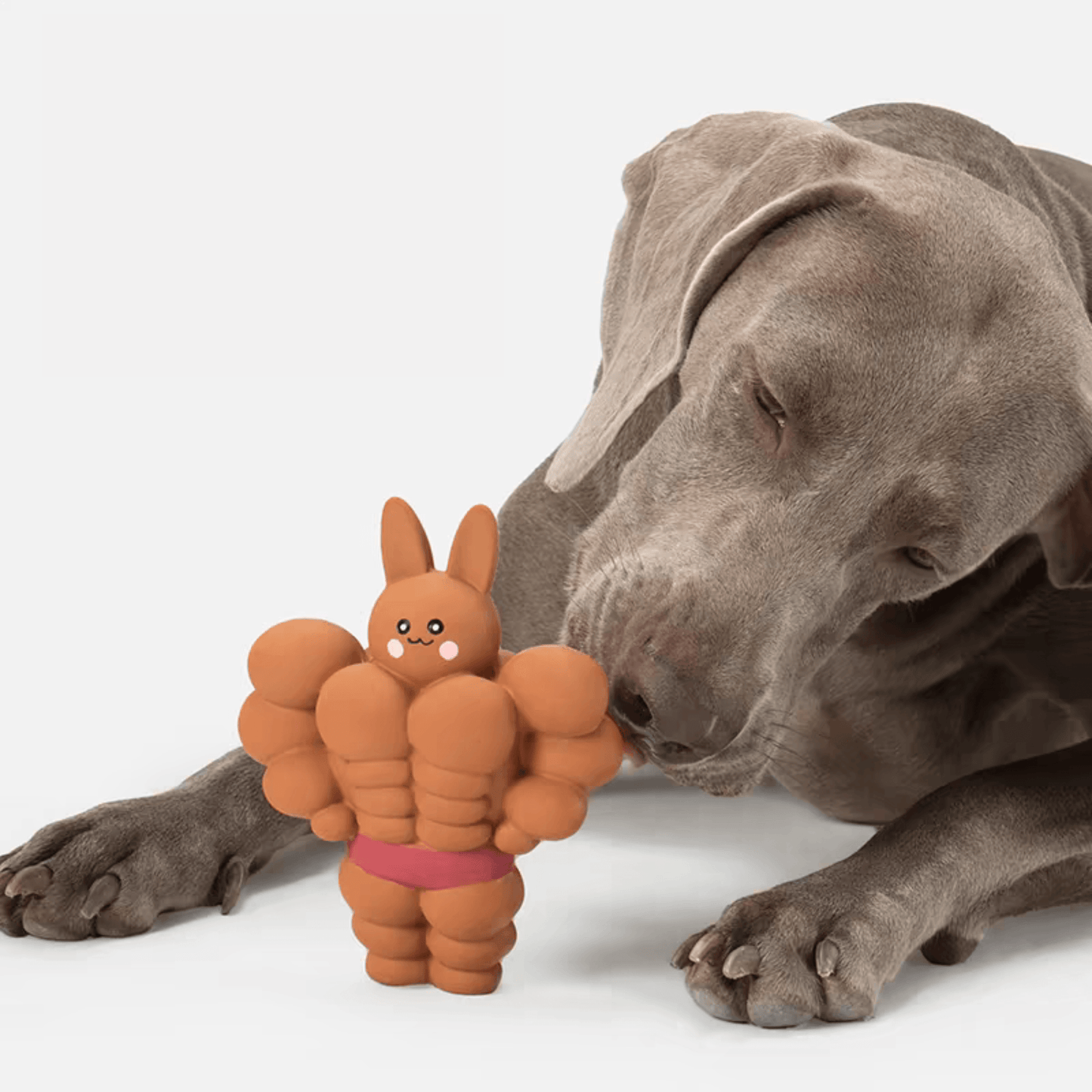 Muscle Rabbit Chew Toy for Dogs - PEKOO