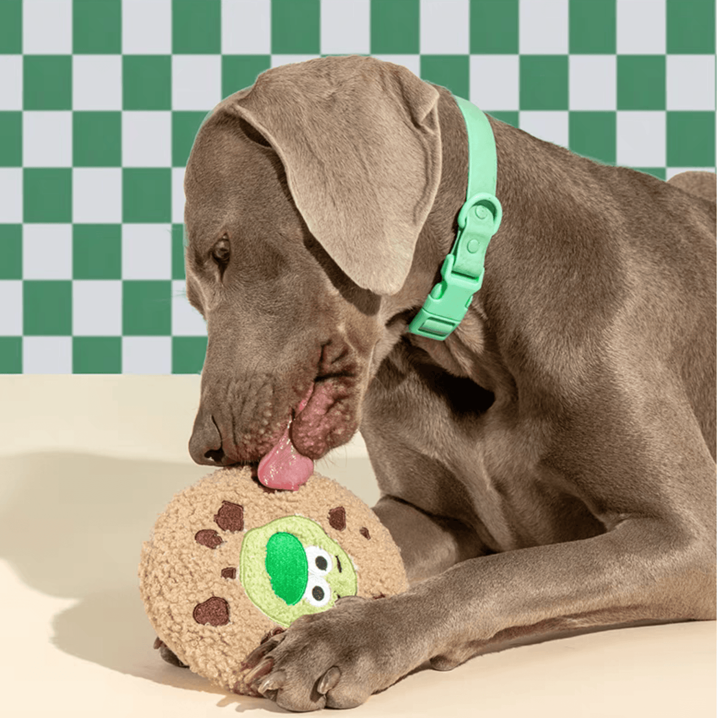 Soft Plush Cookie Dog Toy - PEKOO