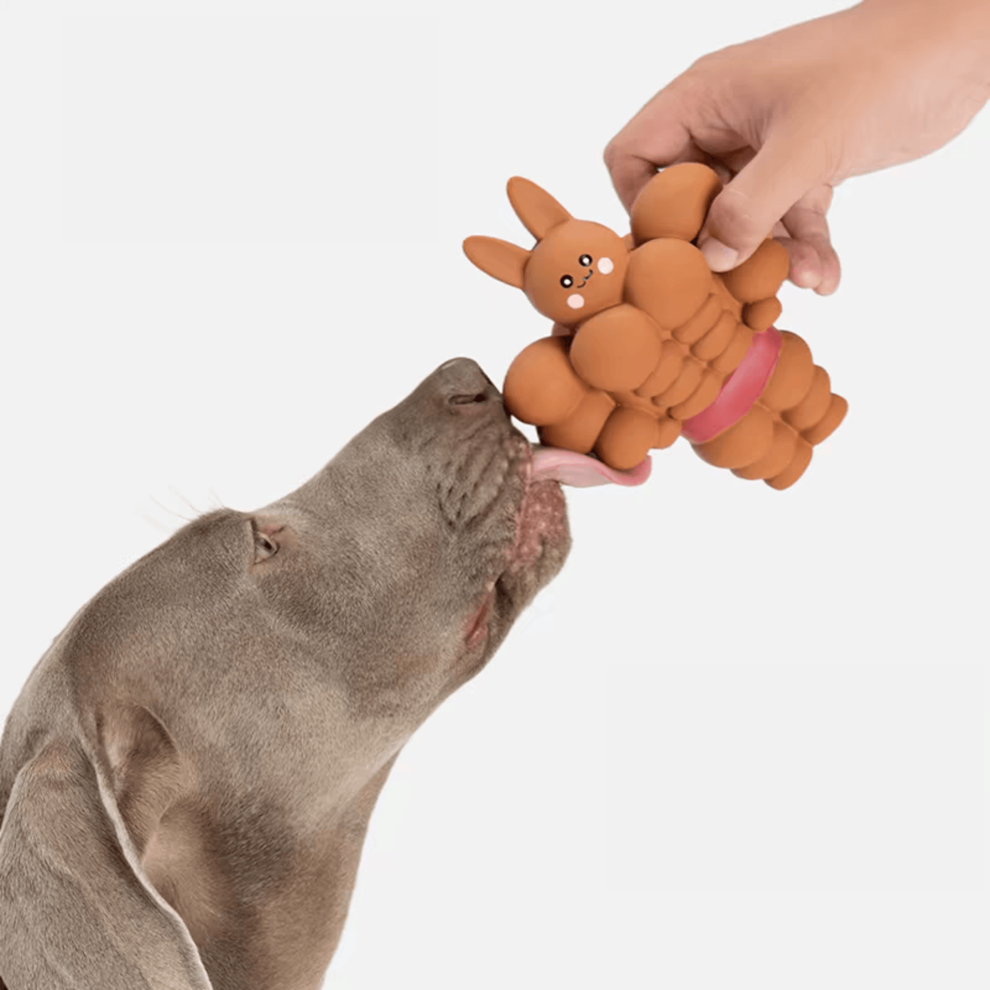 Muscle Rabbit Chew Toy for Dogs - PEKOO