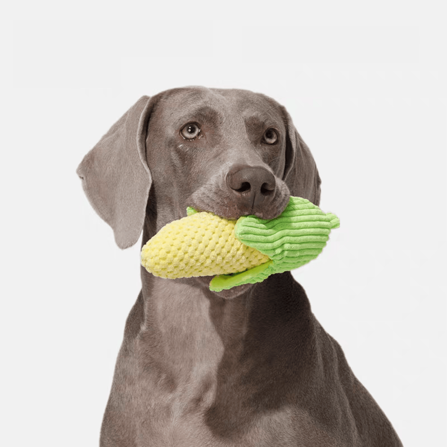 Interactive Plush Corn Dog Toy - PEKOO