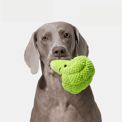 Plush Broccoli Squeak Toy - PEKOO