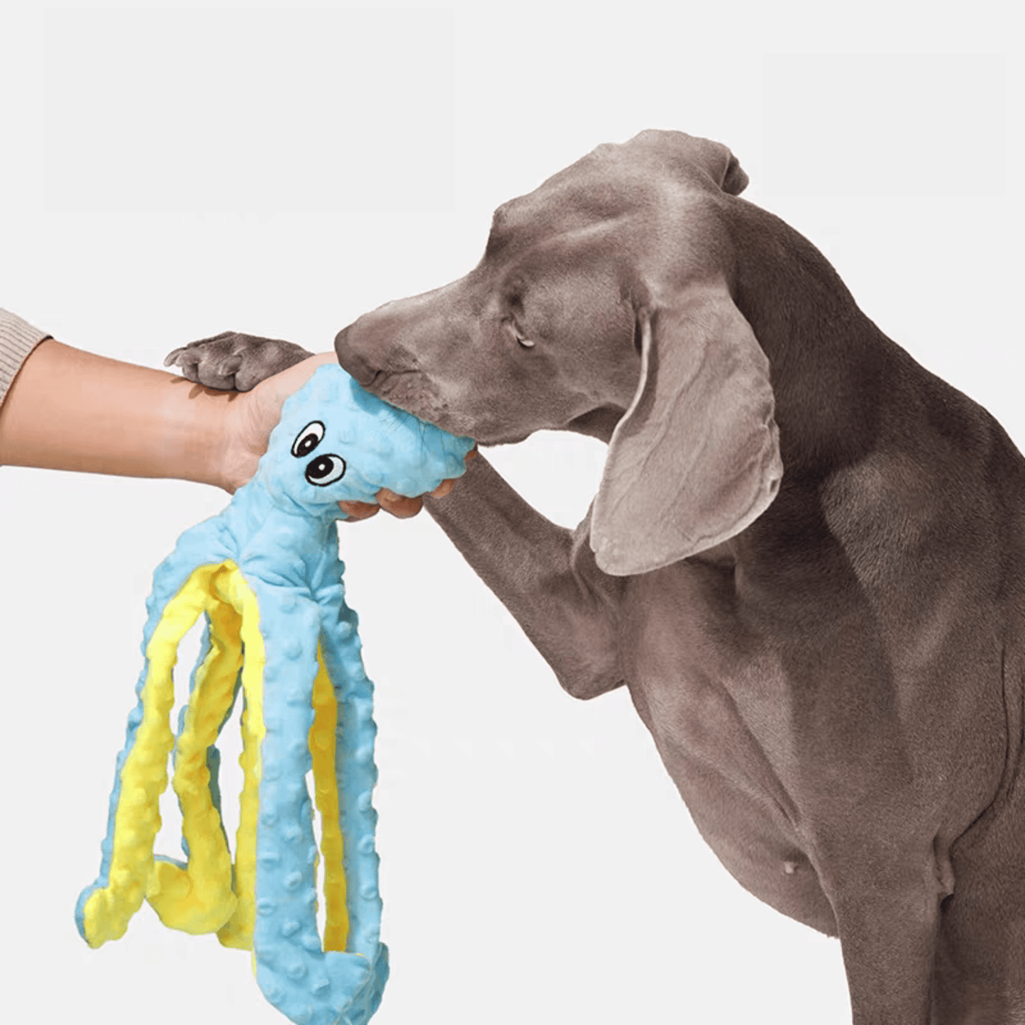 Interactive Squeaky Octopus Dog Toy - PEKOO