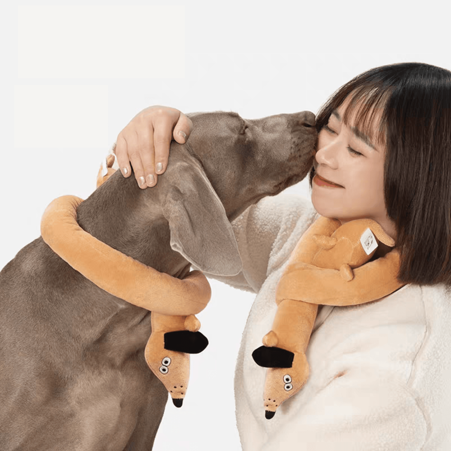 Versatile Plush Dog Toy with Built-in Squeaker - PEKOO