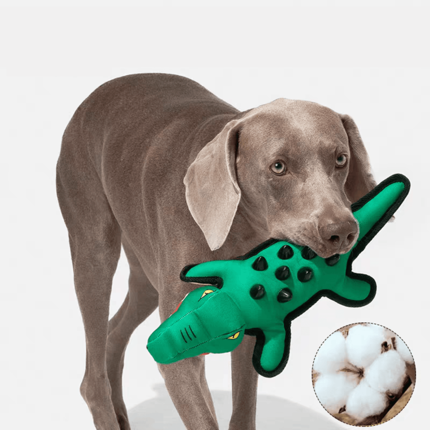 Squeaky Alligator Dog Toy - PEKOO