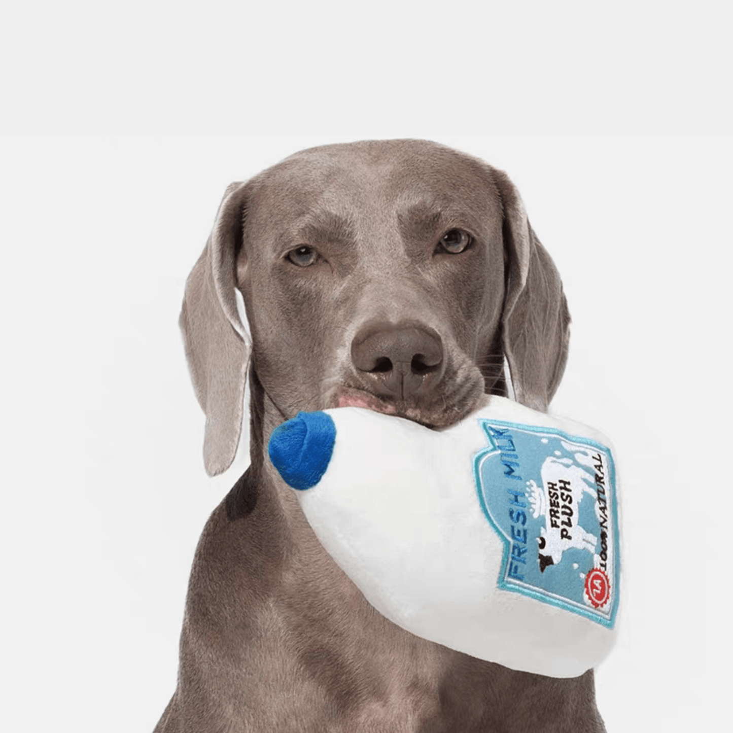 Interactive Plush Milk Bottle Dog Toy - PEKOO