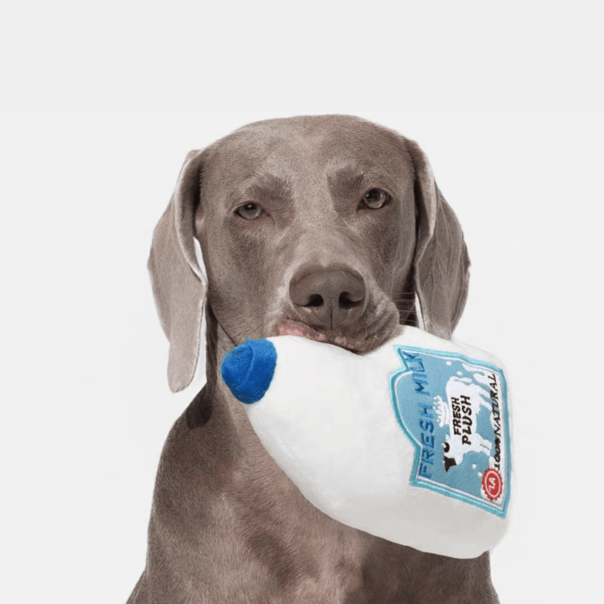 Interactive Plush Milk Bottle Dog Toy - PEKOO