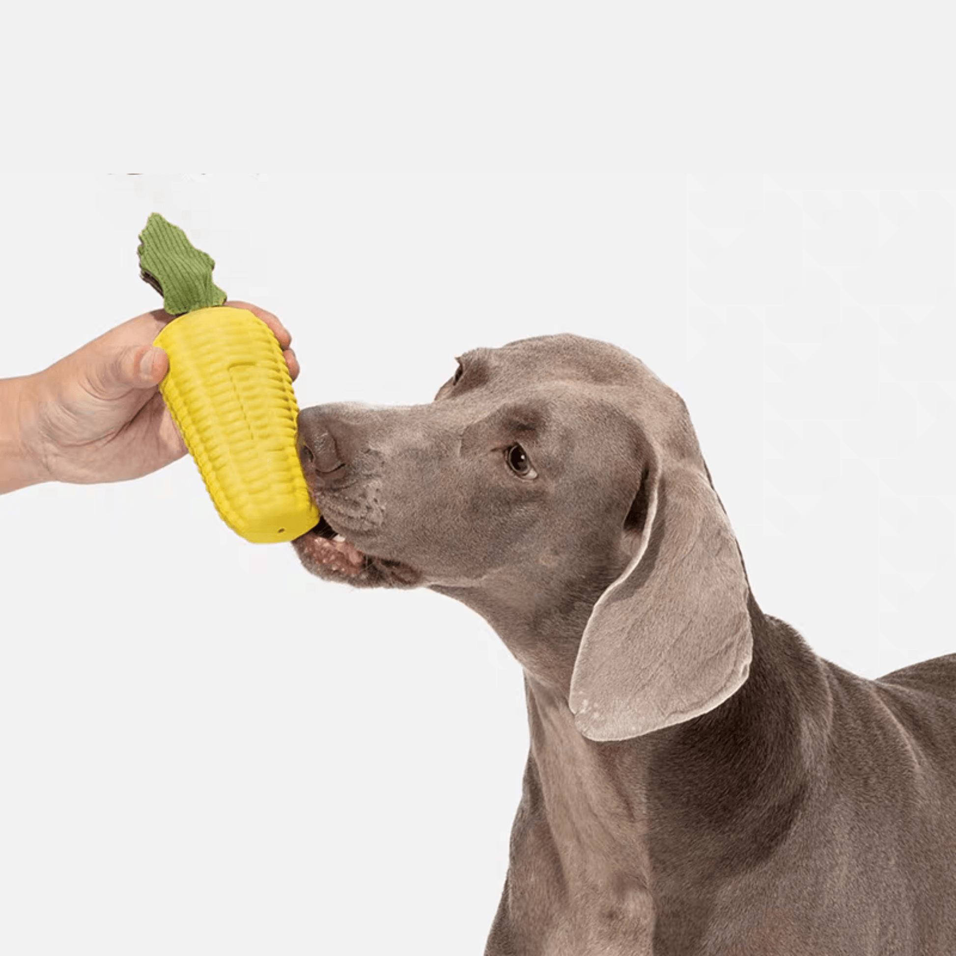 Corn-Shaped Dog Chew Toy - PEKOO