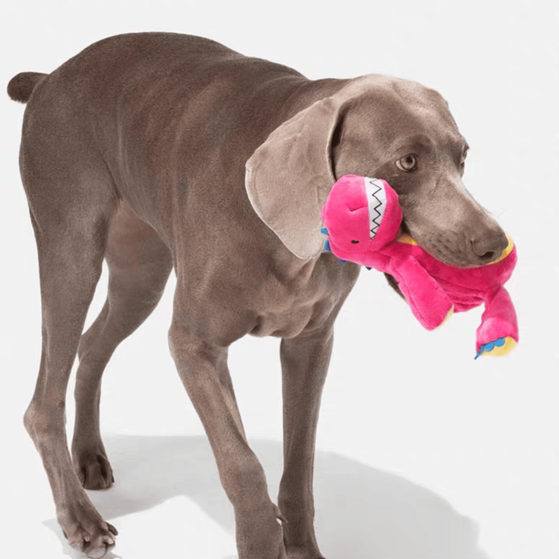 Pink Dinosaur Plush Dog Toy - PEKOO