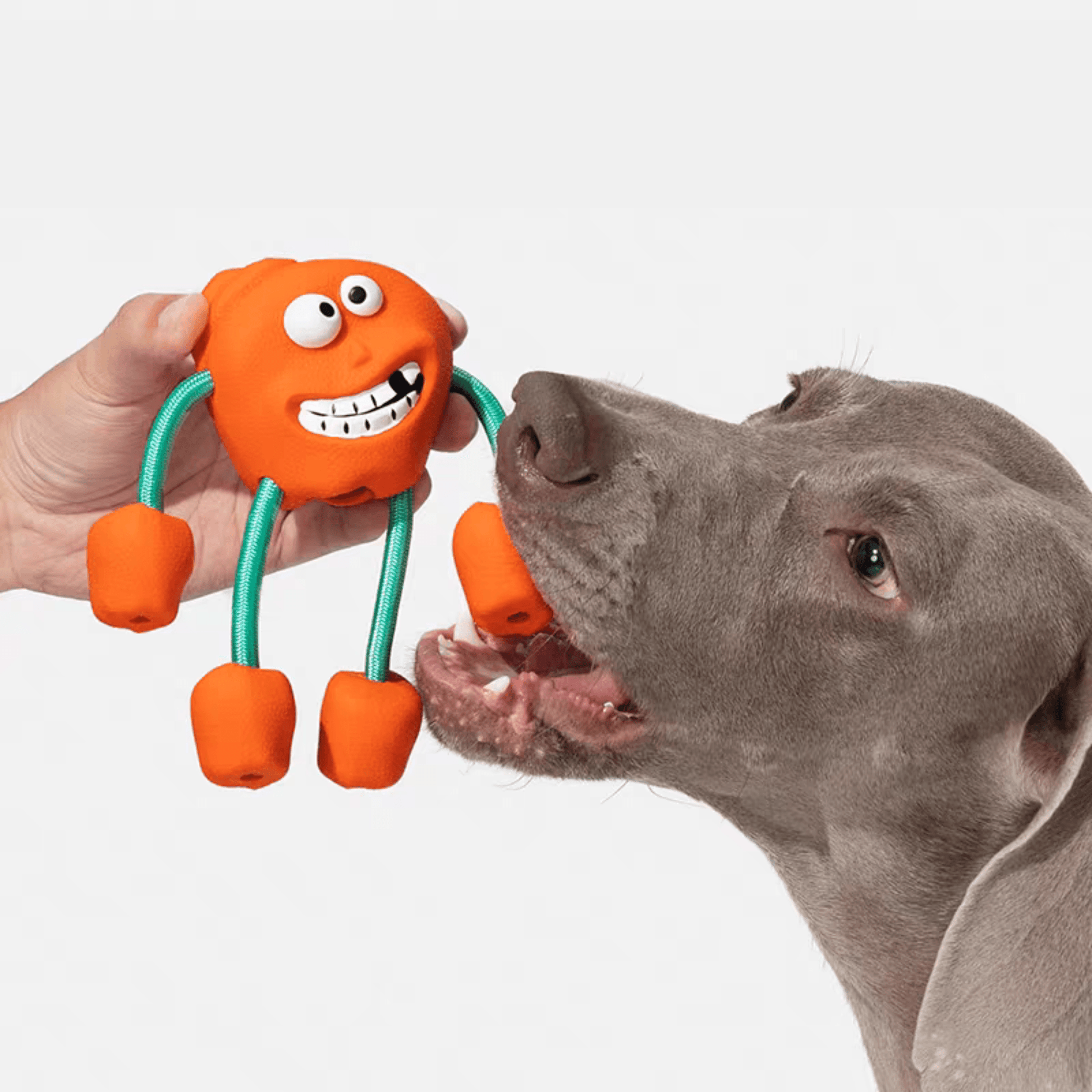 Cheerful Chewer Durable Dog Toy - PEKOO