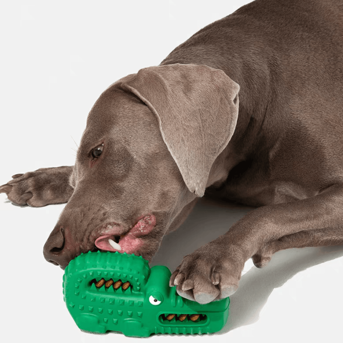 Durable Crocodile Dog Chew Toy - PEKOO