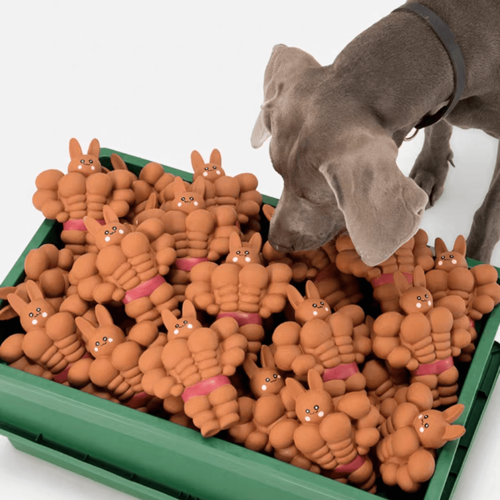 Muscle Rabbit Chew Toy for Dogs - PEKOO