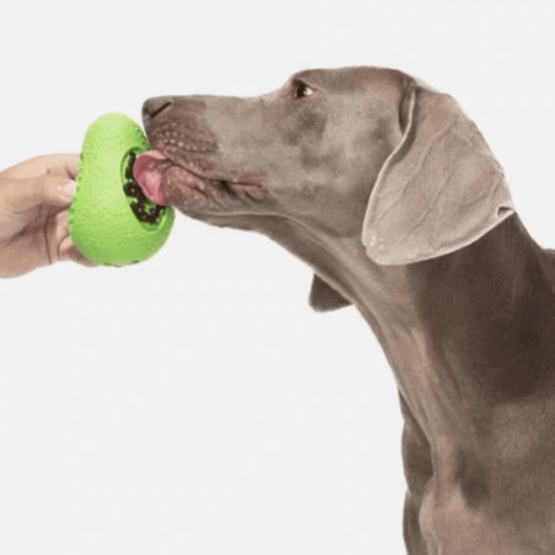 Avocado-Shaped Treat Dispensing Toy - PEKOO