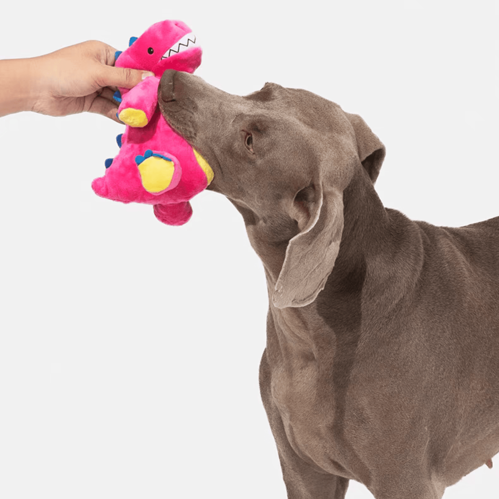 Pink Dinosaur Plush Dog Toy - PEKOO