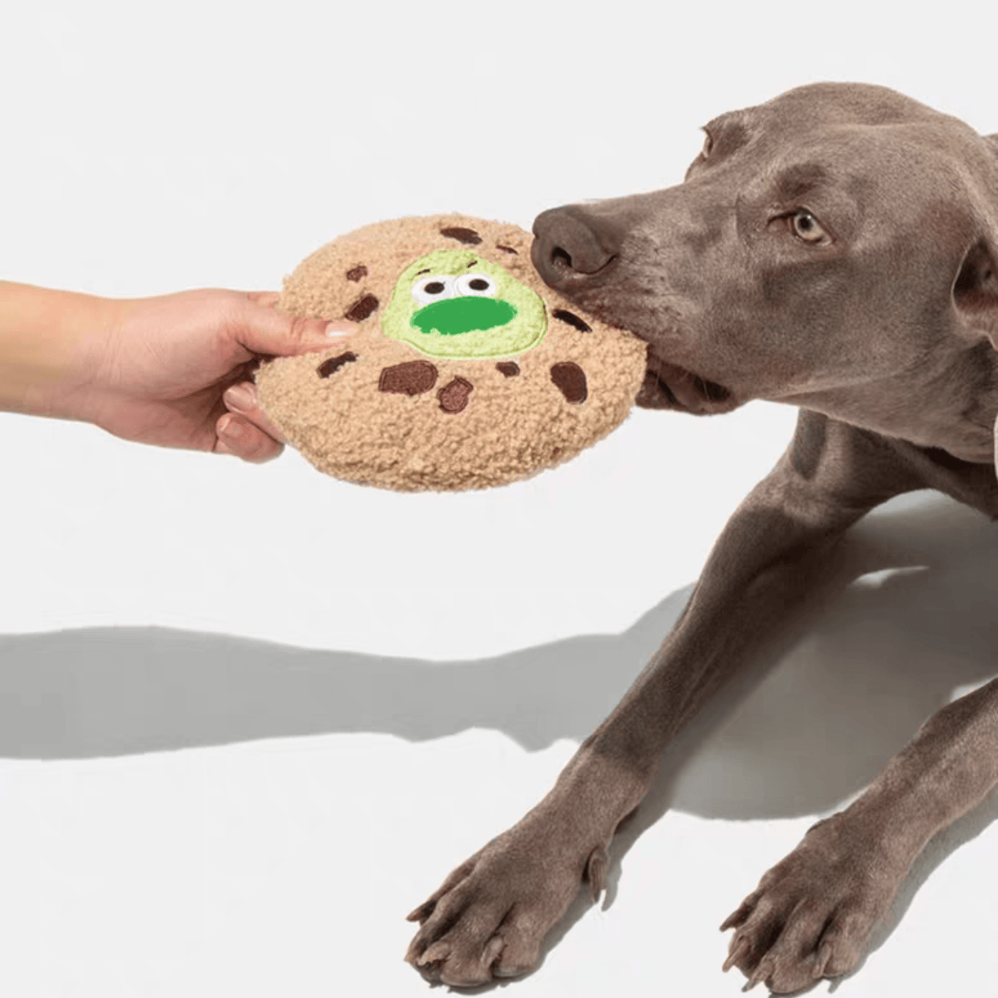 Soft Plush Cookie Dog Toy - PEKOO