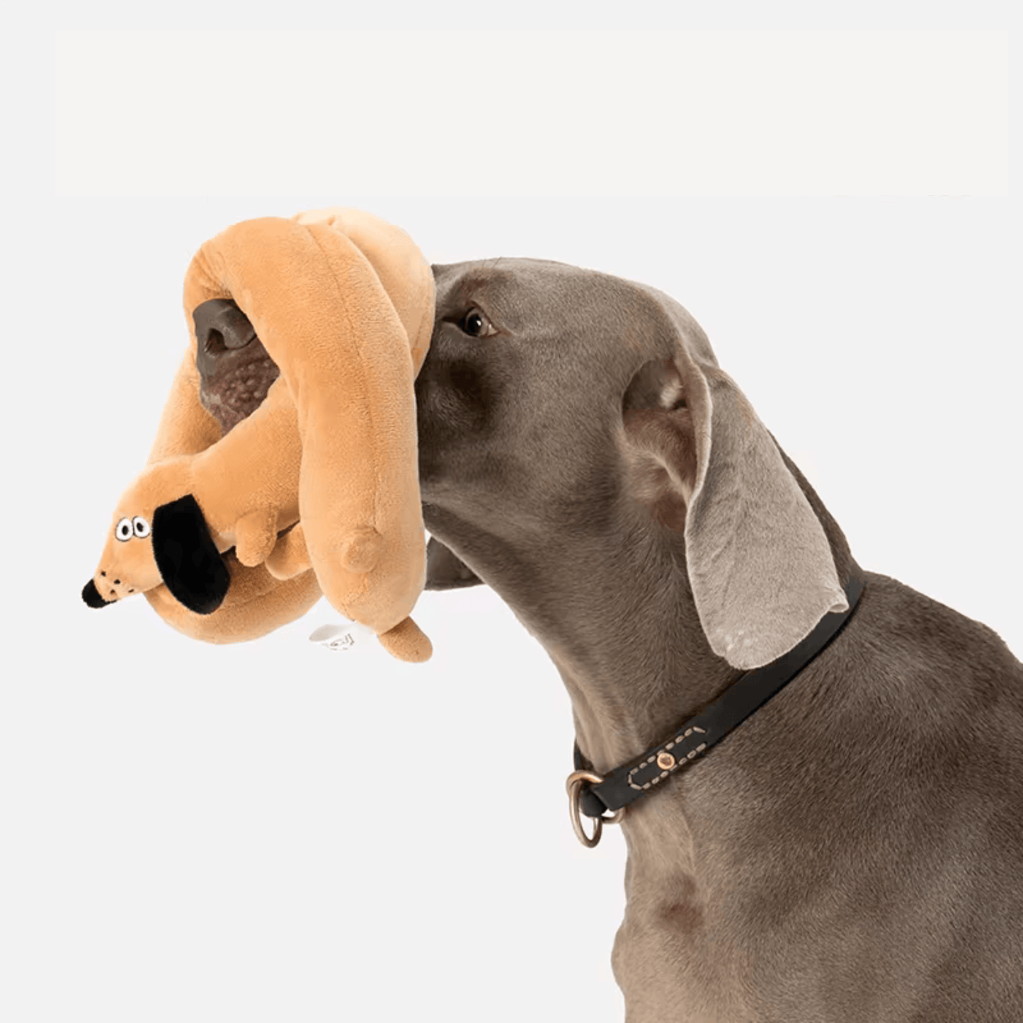 Versatile Plush Dog Toy with Built-in Squeaker - PEKOO