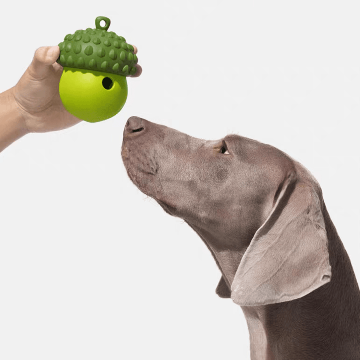 Interactive Acorn Dog Treat Dispenser - Fun & Engaging Puzzle Toy - PEKOO