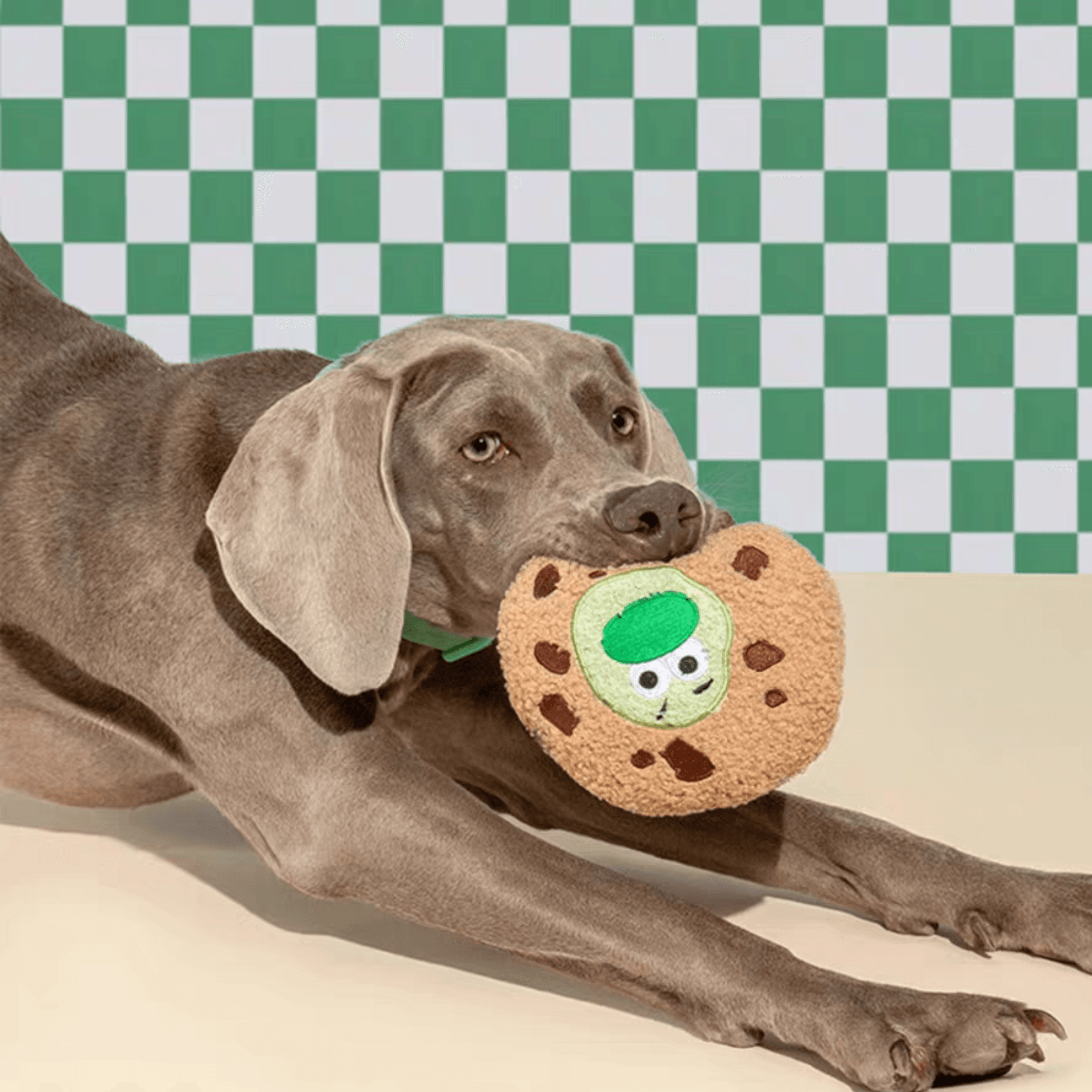 Soft Plush Cookie Dog Toy - PEKOO