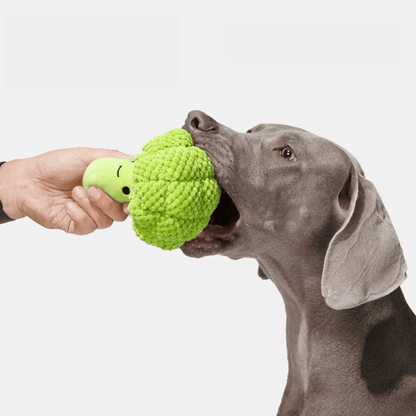 Plush Broccoli Squeak Toy - PEKOO