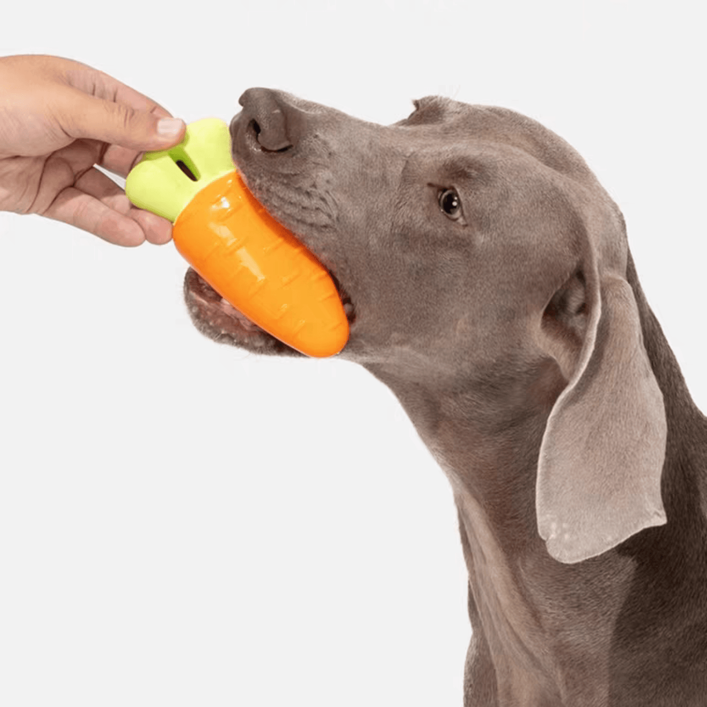 Durable Vegetable Chew Toys for Dogs - PEKOO