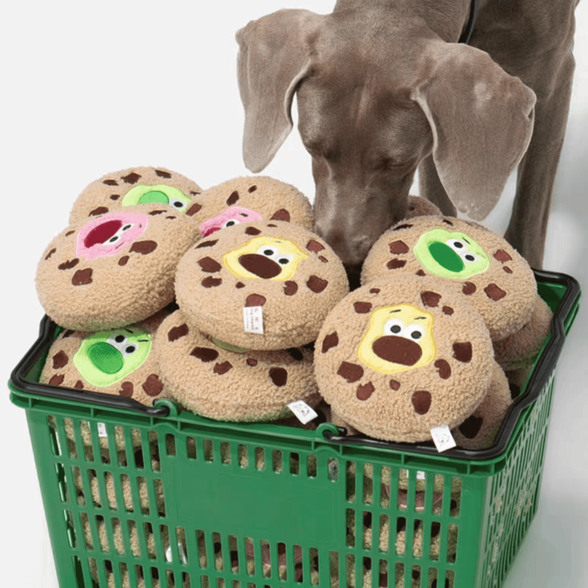 Soft Plush Cookie Dog Toy - PEKOO