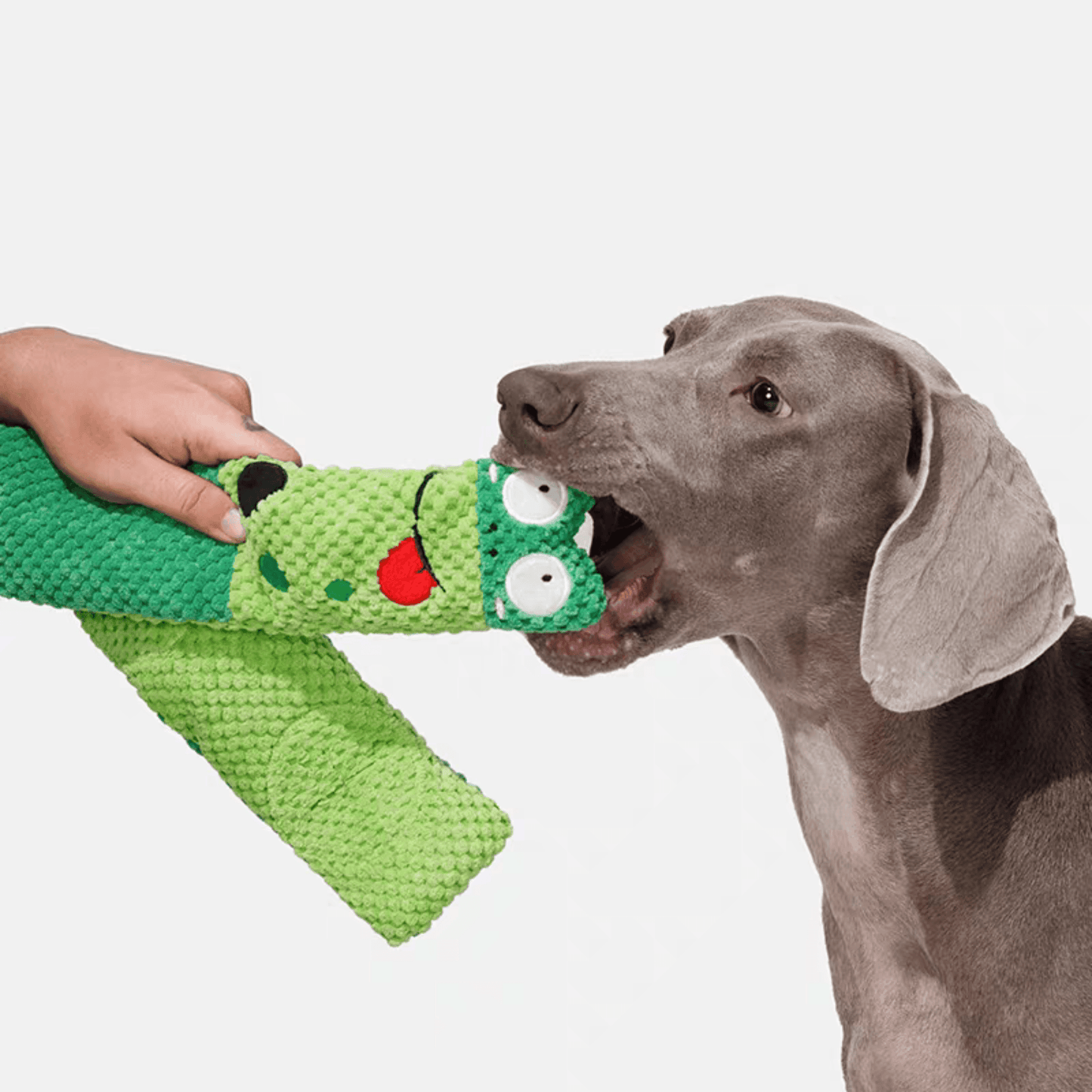 Interactive Plush Frog Dog Toy - PEKOO