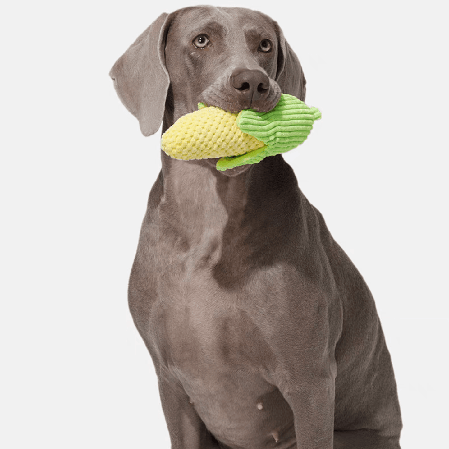 Interactive Plush Corn Dog Toy - PEKOO