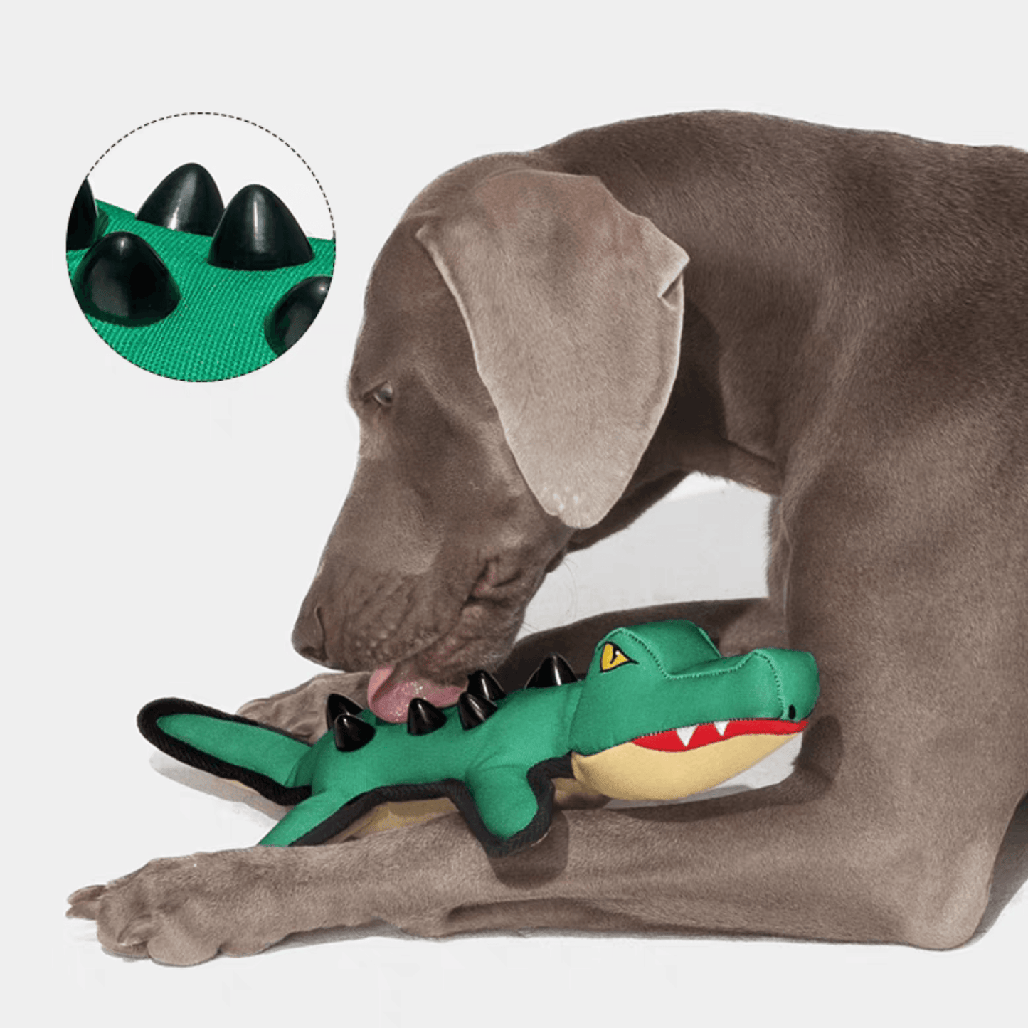 Squeaky Alligator Dog Toy - PEKOO