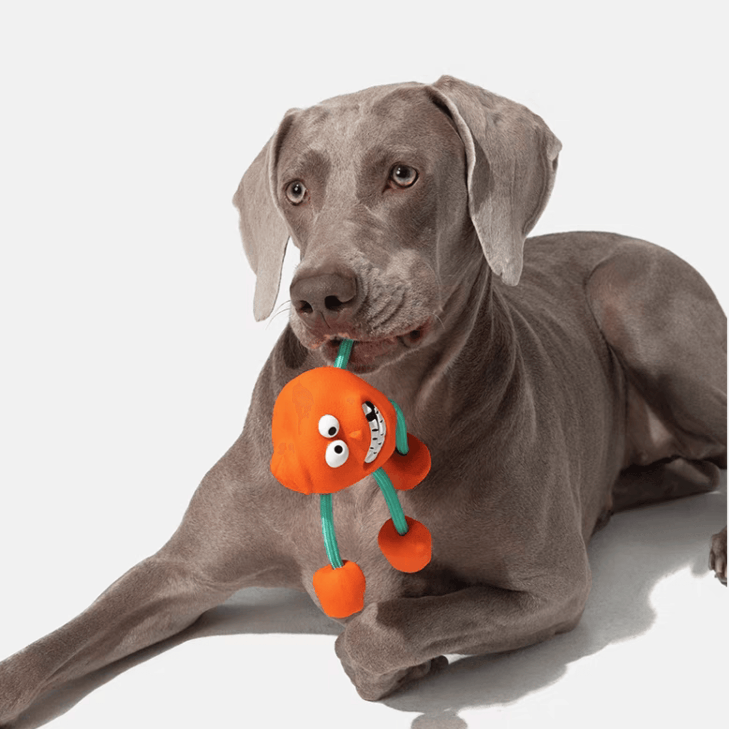 Cheerful Chewer Durable Dog Toy - PEKOO