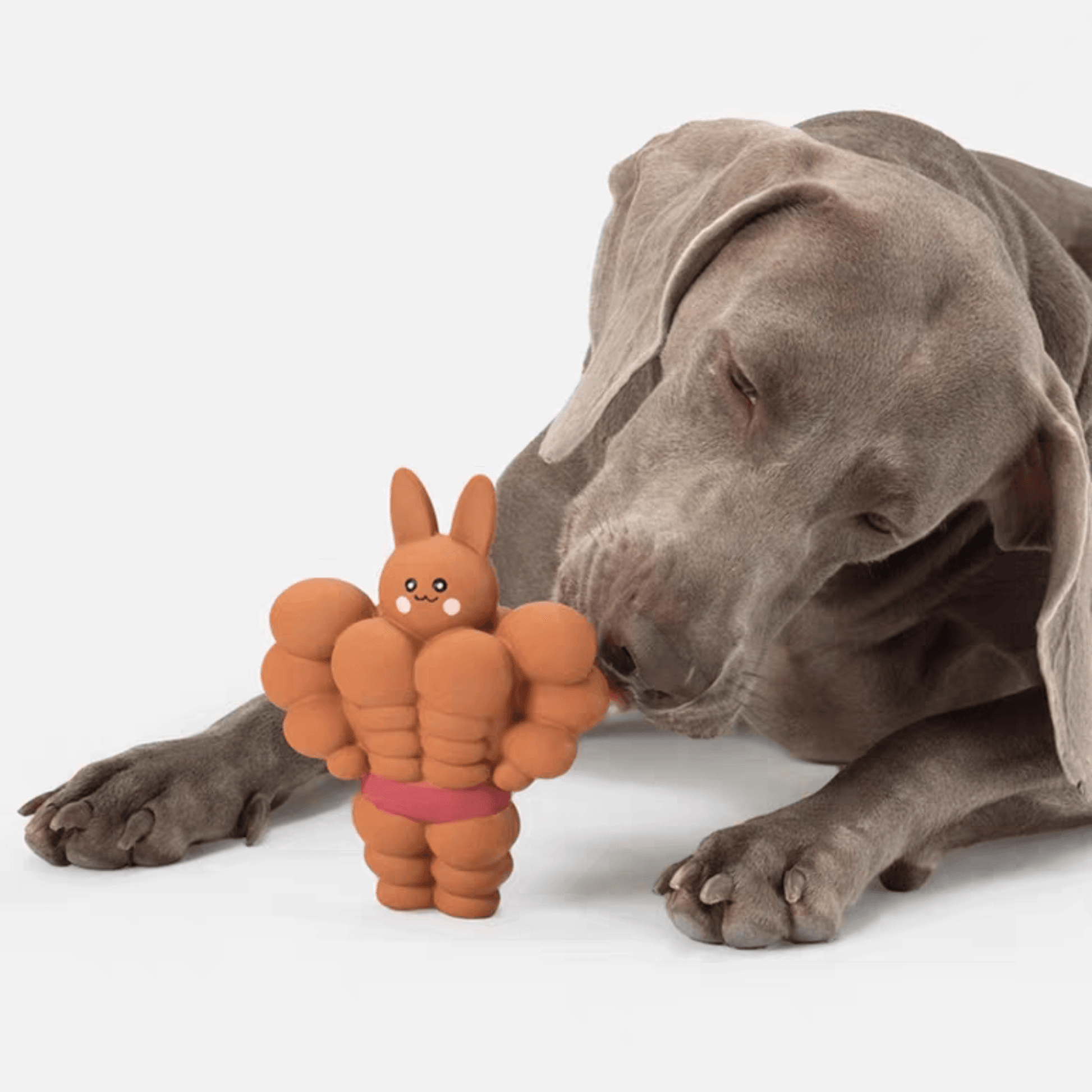 Muscle Rabbit Chew Toy for Dogs - PEKOO