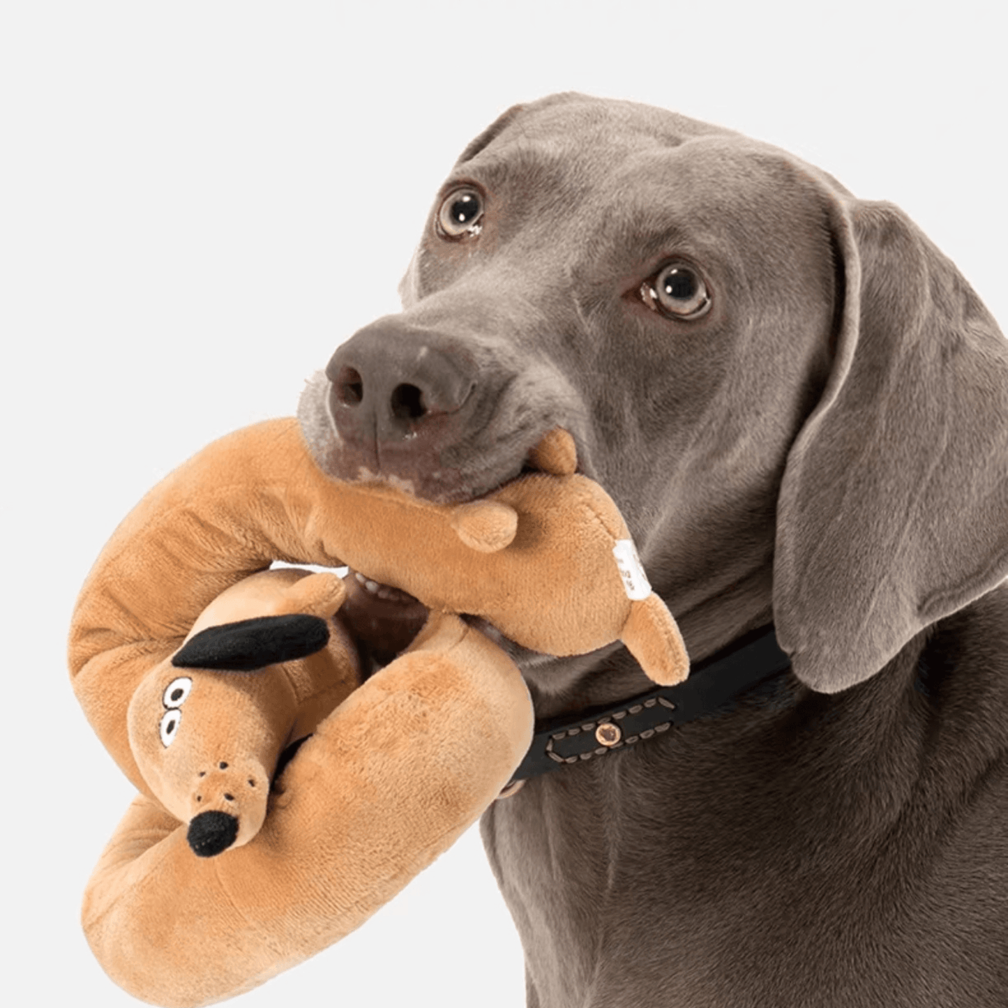 Versatile Plush Dog Toy with Built-in Squeaker - PEKOO