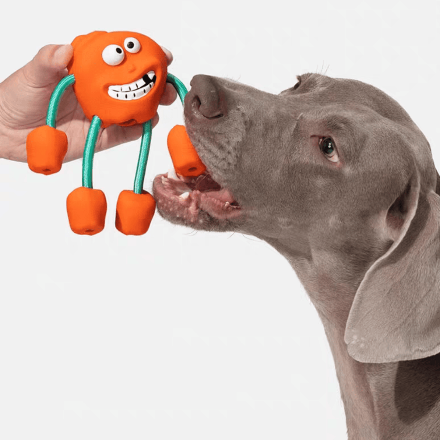 Cheerful Chewer Durable Dog Toy - PEKOO