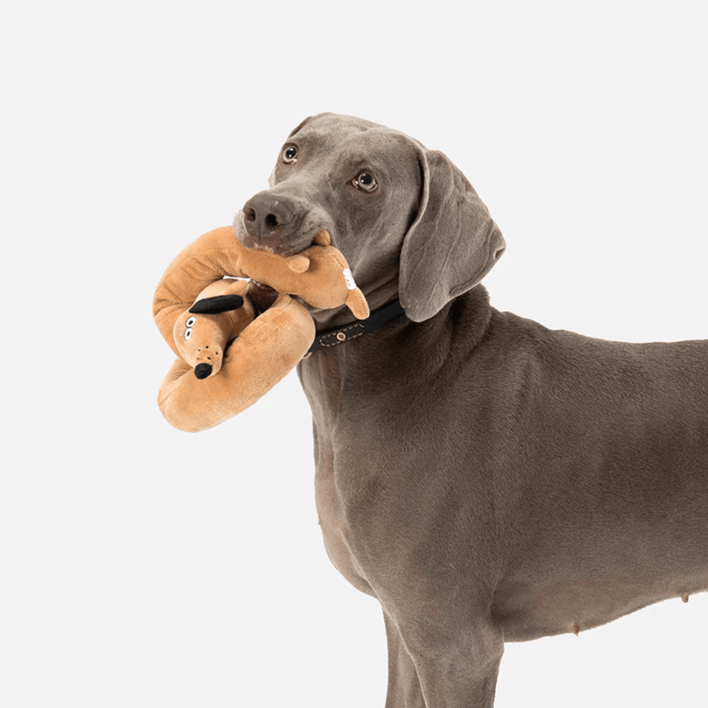 Versatile Plush Dog Toy with Built-in Squeaker - PEKOO