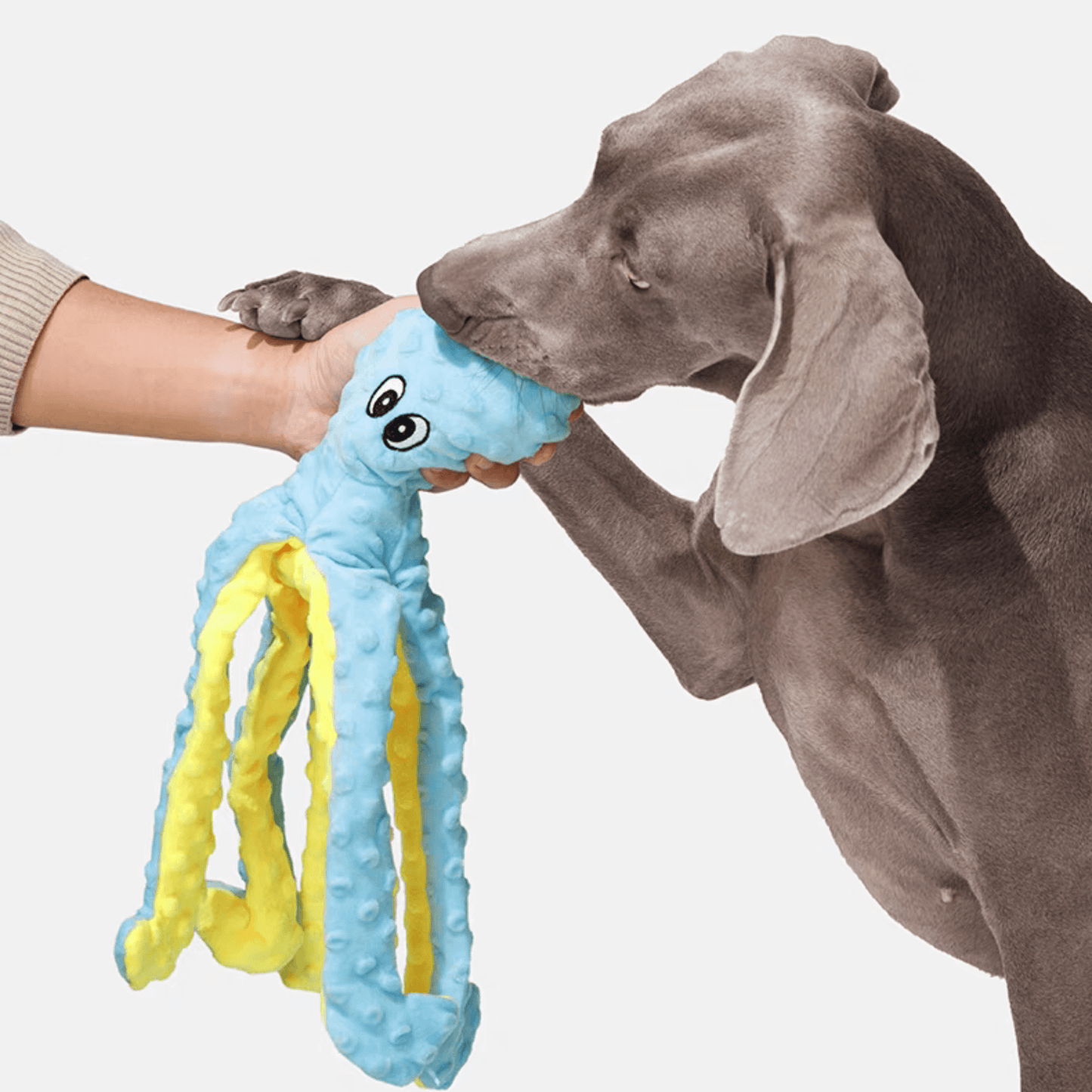 Interactive Squeaky Octopus Dog Toy - PEKOO