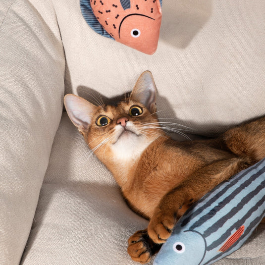 Interactive Catnip Fish Toy